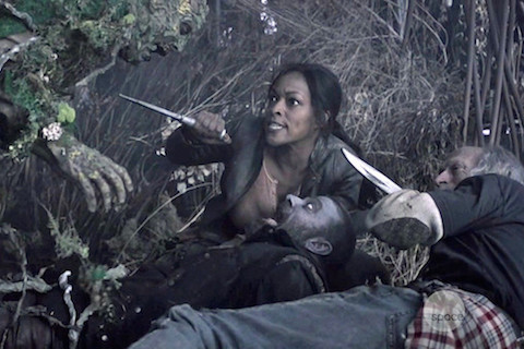 znation_mat2
