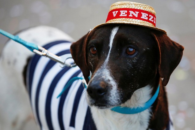 Cachorro fantasiado de gondoleiro veneziano na praça San Marco durante o Carnaval de Veneza na Itália - 18/02/2017