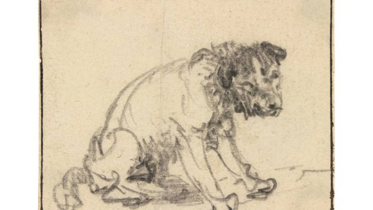 Museu alemão encontra desenho feito por Rembrandt