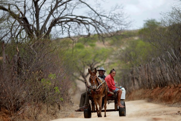 Francisco Barbosa Cruz, 82 anos, e sua esposa Maria de Lourdes, 65, atravessam a paisagem árida sobre uma carroça na cidade de Pombal, Paraíba