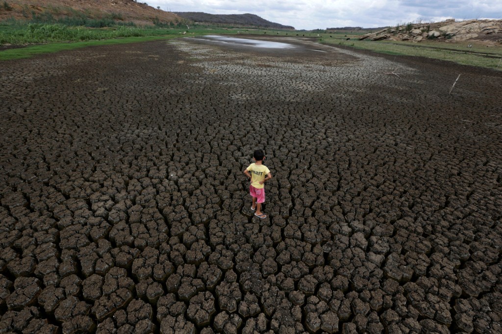 Cidades do sertão paraibano lutam contra a seca