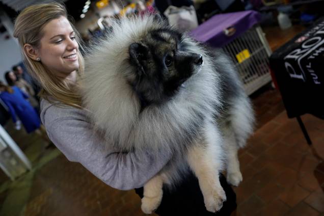 Dona de um cachorro da raça Keeshond segura seu pet no colo durante competições do 141° Dog Show, em Nova York Dona de um cachorro da raça Keeshond segura seu pet no colo durante competições do 141° Dog Show, em Nova York