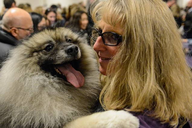 Cachorro da raça Keeshond abraça sua dona no lounge de exposição do 141° Dog Show, em Nova York Cachorro da raça Keeshond abraça sua dona no lounge de exposição do 141° Dog Show, em Nova York