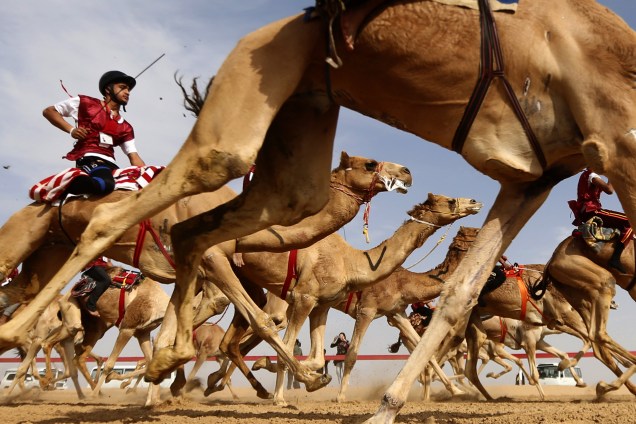 Jóqueis competem na tradicional corrida do festival de camelos Sheikh Sultan Bin Zayed al-Nahyan, que ocorre na periferia de Abu Dhabi, capital dos Emirados Árabes Unidos - 10/02/2017