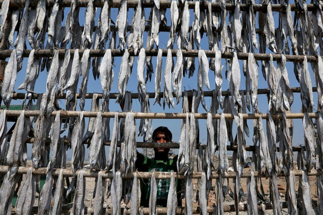 Pescador prepara peixes para serem vendidos em uma pequena vila na cidade de Mumbai, Índia - 20/02/2017