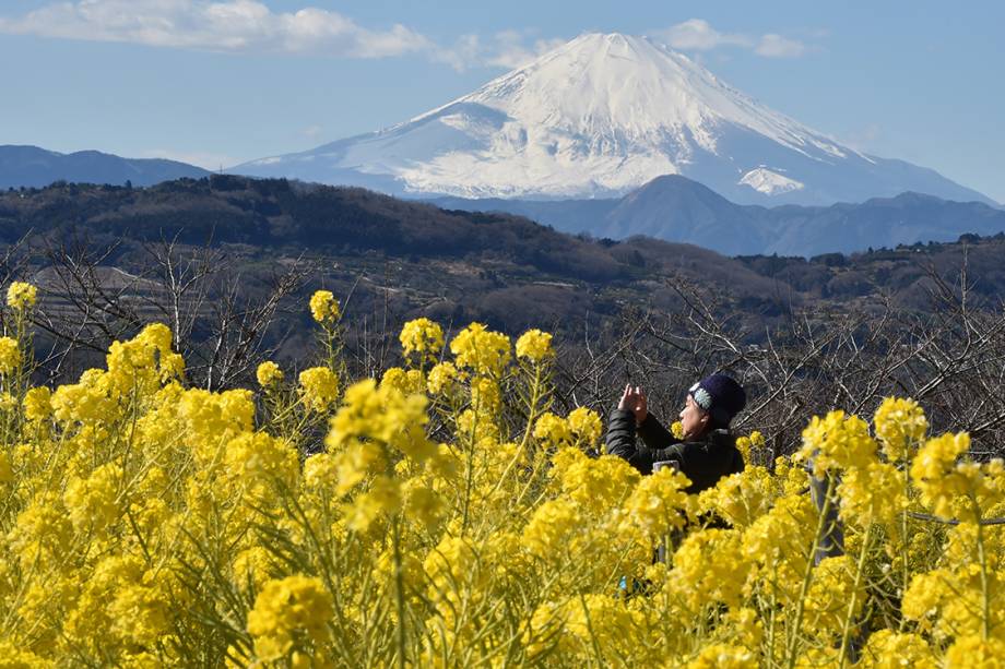 Mulher fotografa um campo florido em frente ao monte Fuji, no Parque Azumayama, em Tóquio, Japão - 13/02/2017