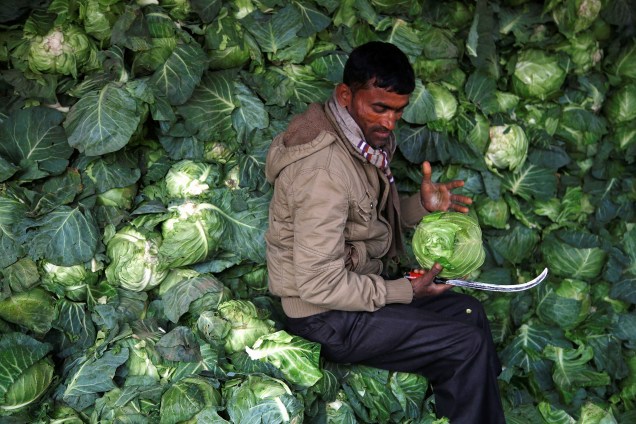 Homem vende repolho em um mercado de vegetais em Catmandu, no Nepal - 16/02/2017