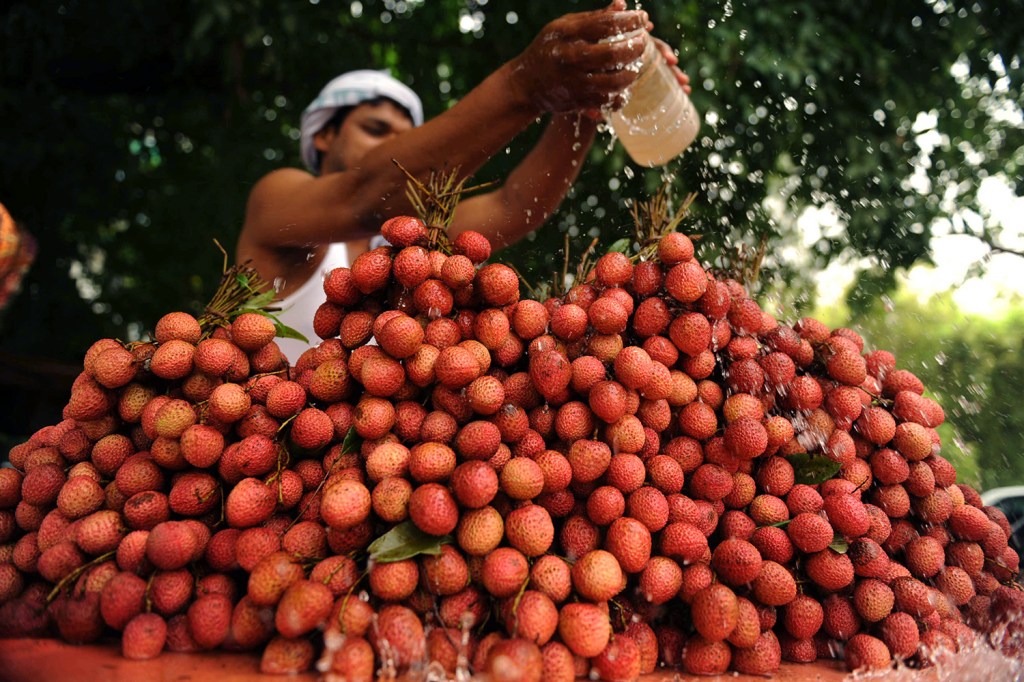 An Indian fruit seller pours water over lychees at a roadside cart in Allahabad on May 29, 2010. The heat wave continued across the northern belt as three persons perished due to sunstroke in Rajasthan while the city of Hissar recorded its hottest day in over a decade at 48.1 degrees Celsius. AFP PHOTO/Diptendu DUTTA / AFP PHOTO / DIPTENDU DUTTA