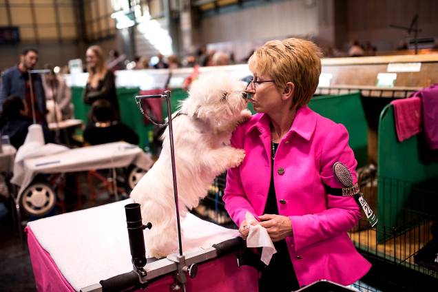 Dona recebe carinho de seu cão da raça West Highland White Terrier, durante o primeiro dia do Crufts Dog Show no National Exhibition Centre em Birmingham,Inglaterra - 09/03/2017 Dona recebe carinho de seu cão da raça West Highland White Terrier, durante o primeiro dia do Crufts Dog Show no National Exhibition Centre em Birmingham,Inglaterra - 09/03/2017