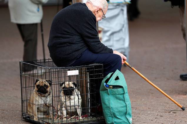 Senhor de bengala senta na gaiola onde carrega seus cães da raça Pug durante o Crufts Dog Show em Birmingham, Inglaterra - 10/03/2017 Senhor de bengala senta na gaiola onde carrega seus cães da raça Pug durante o Crufts Dog Show em Birmingham, Inglaterra - 10/03/2017