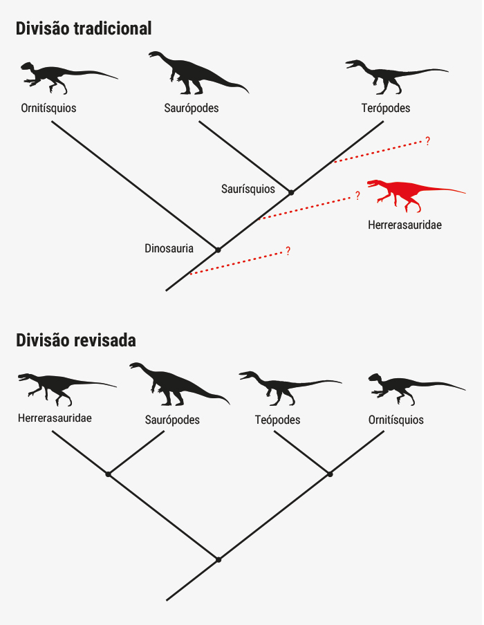 Classificações dos dinossauros