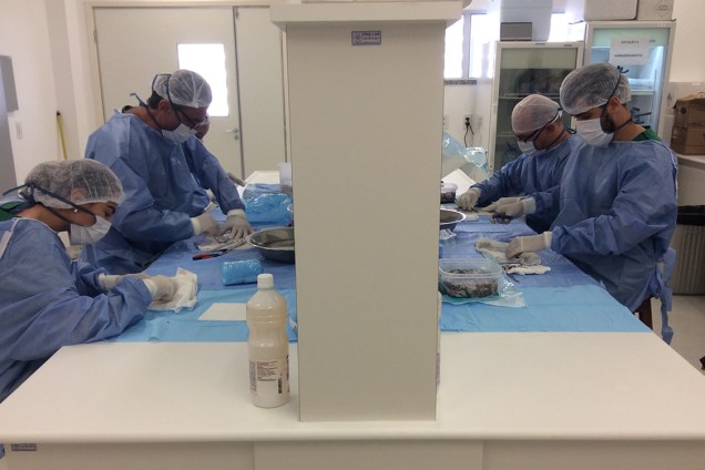 Equipe trabalhando na esterilização da pele de tilápia.