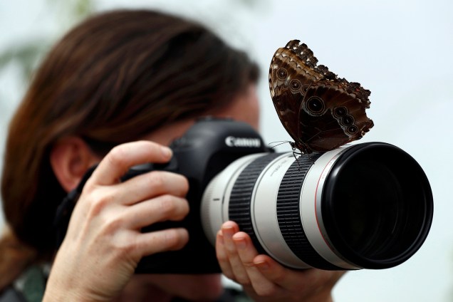 Borboleta pousa na lente de fotógrafa durante a exibição "Sensational Butterflies", aberta para comemorar a chegada da primavera no Museu de História Natural de Londres