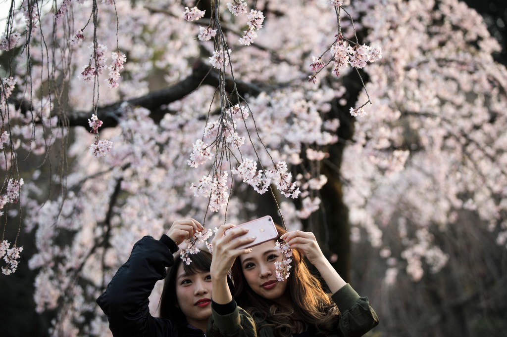 Imagens do dia - Mulheres tiram selfie no Japão