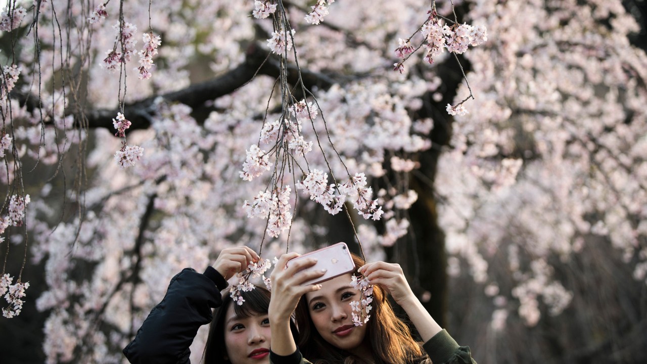 Imagens do dia - Mulheres tiram selfie no Japão