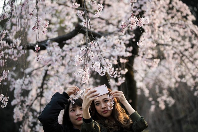 Mulheres tiram selfies entre as flores de cerejeira em um parque de Tóquio, no Japão - 30/03/2017