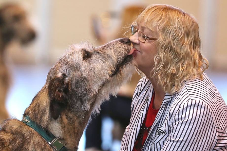 Crufts Dog Show, uma famosa competição de cães que atrai donos ao redor do mundo, acontece por 4 dias em Birmingham, Inglaterra - 09/03/2017