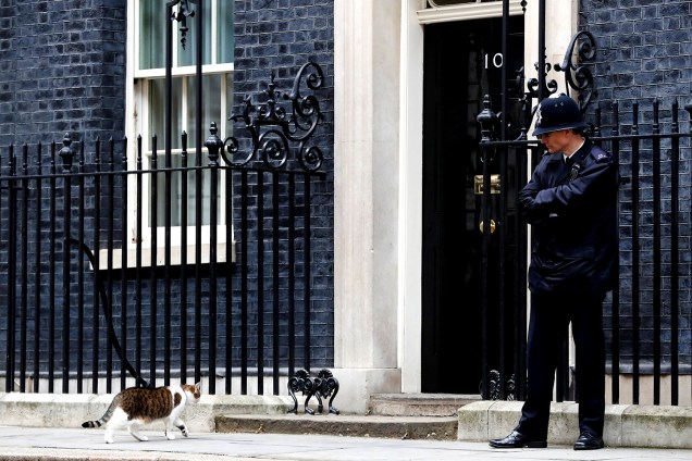 Policial observa Larry, o gato da casa Nº10, residência oficial da Primeira-Ministra britânica Theresa May. Larry foi adotado pelo antecessor de Theresa, James Cameron, e agora ocupa o cargo não-oficial de "Chief Mouser" em Londres, Inglaterra - 29/03/2017