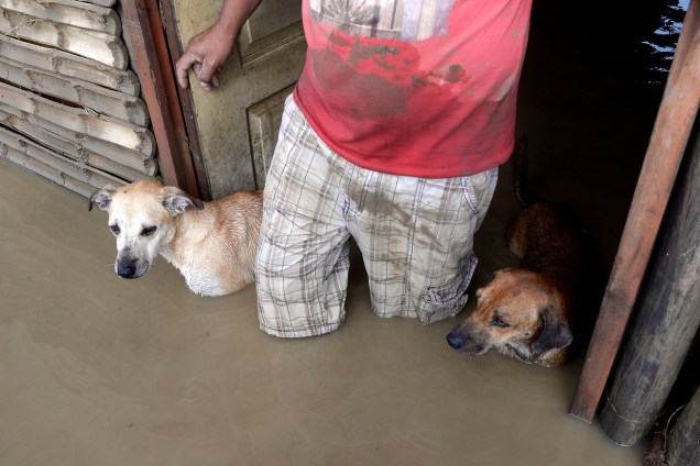 Na cidade de Piura, no Peru, um residente e seus dois cachorros na casa inundada pelas enchentes causadas pelo "El Niño Costero" - 29/03/2017