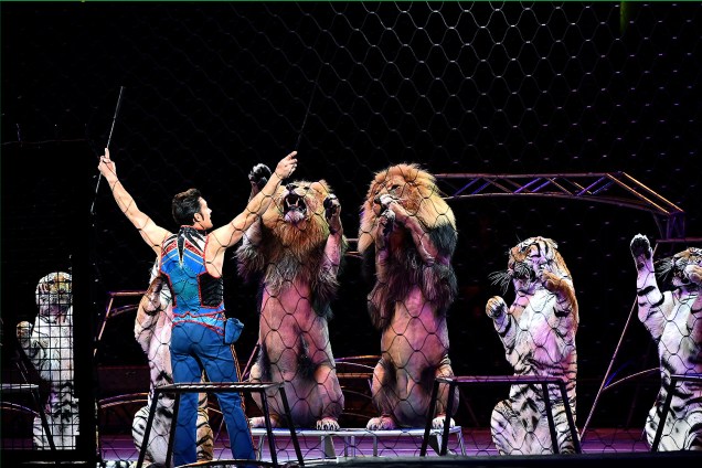 Domador de felinos em uma das últimas apresentações do circo Ringling Bros e Barnum & Bailey, durante a turnê "Out of This World", em Nova York, EUA - 02/032017