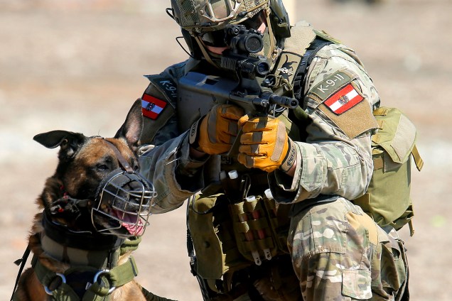 Membro das Operações Especiais austríacas em treinamento com cães em Wiener Neustadt, Áustria - 31/03/2017