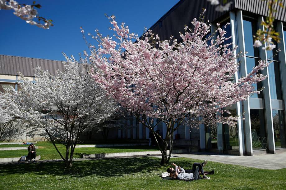 Suíços deitam debaixo de cerejeira em um dia quente de primavera na cidade de Lausanne - 27/03/2017