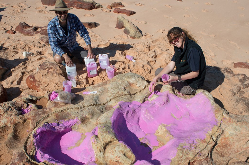Pesquisadores descobrem pegada de dinossauro na Austrália