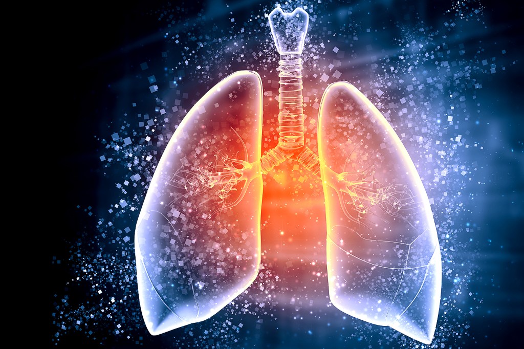Ilustração esquemática de um pulmão humano