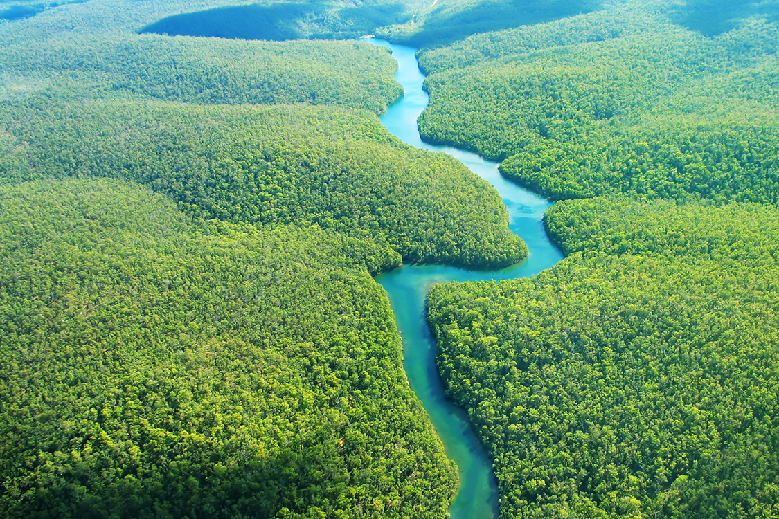 Rio Amazonas tem 9 milhões de anos, mais velho do que se pensava | VEJA