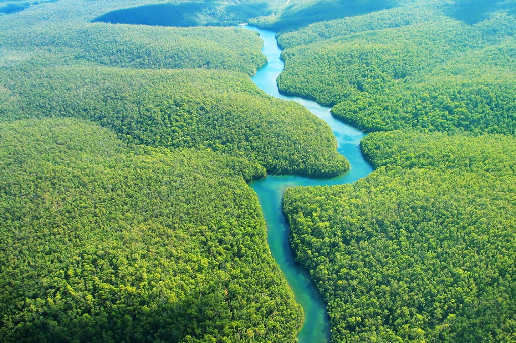 Rio Amazonas é o segundo maior rio do mundo, mas conhecimento científico sobre o corpo aquático ainda é baixo -