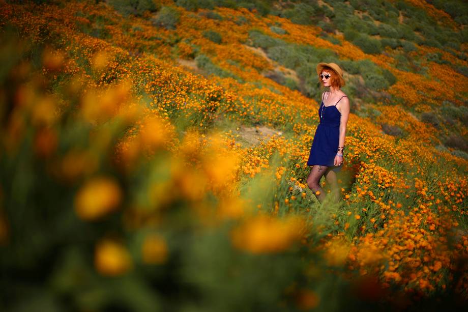 Mulher caminha em um campo de flores próximo ao Lago Elsinore, na Califórnia