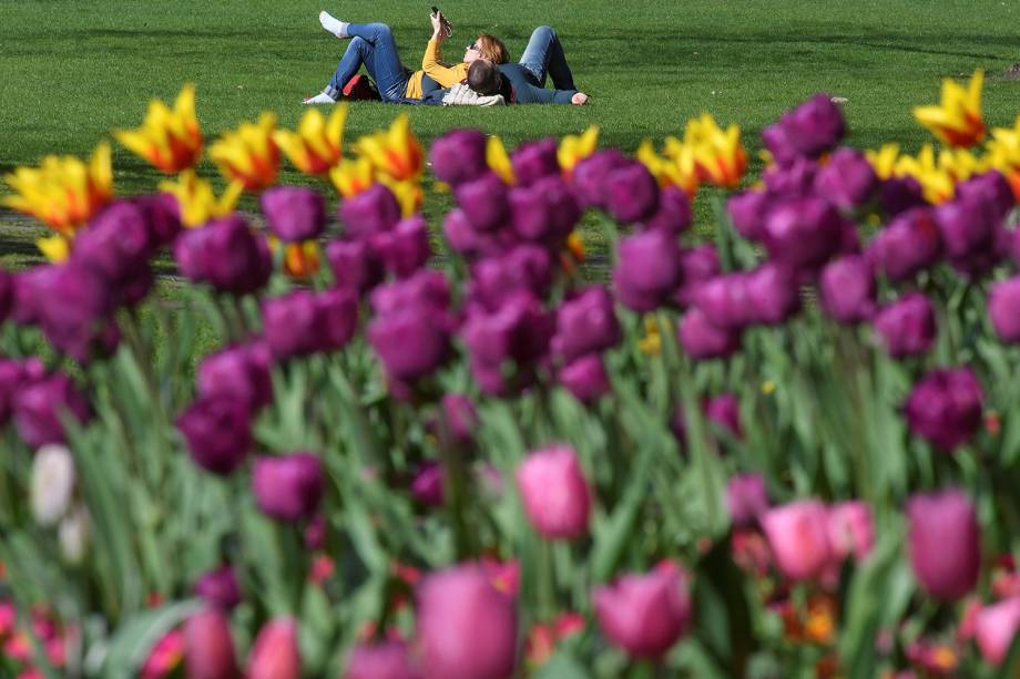 Casal aproveita dia ensolarado no Parque St. James, em Londres, ao lado de um campo de tulipas