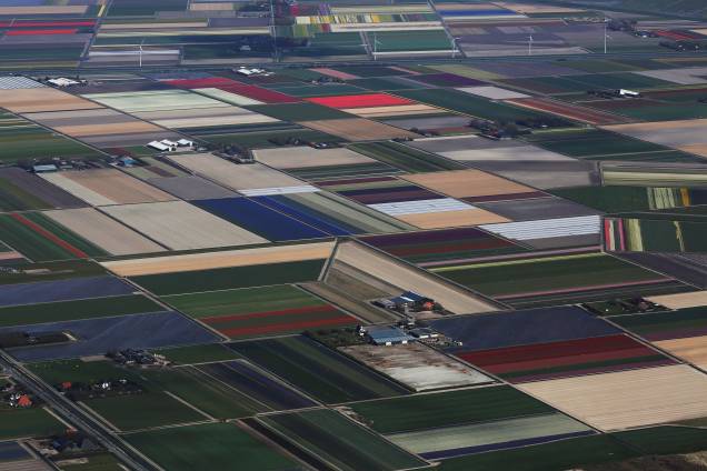 Vista aérea dos campos de tulipas em Den Helder, na Holanda Vista aérea dos campos de tulipas em Den Helder, na Holanda
