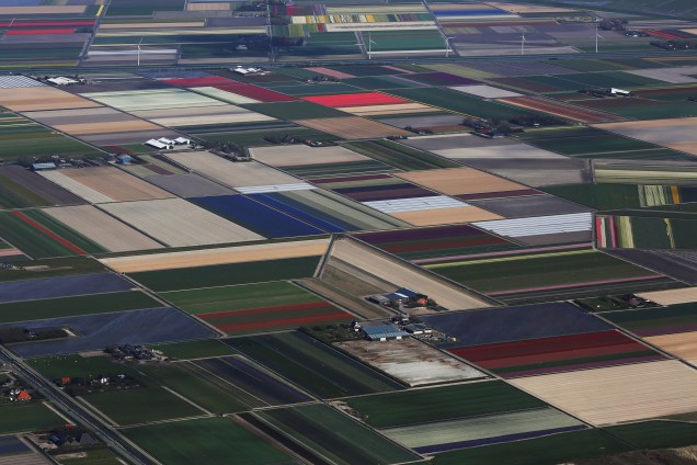 Vista aérea dos campos de tulipas em Den Helder, na Holanda