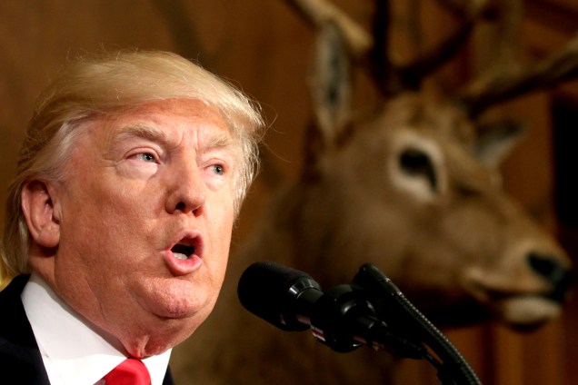 O presidente dos Estados Unidos, Donald Trump, discursa embaixo de um cervo empalhado antes de assinar uma Ordem Executiva de Antiguidades em Washington, DC