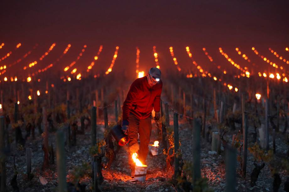 Trabalhadores e viticultores acendem aquecedores para proteger as vinhas de danos causados pela geada em Chablis, na França - 28/04/2017