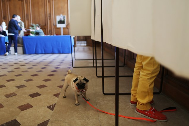 Cão espera fora de uma cabine de votação enquanto seu dono preenche a cédula, em Caen, noroeste da França - 23/04/2017