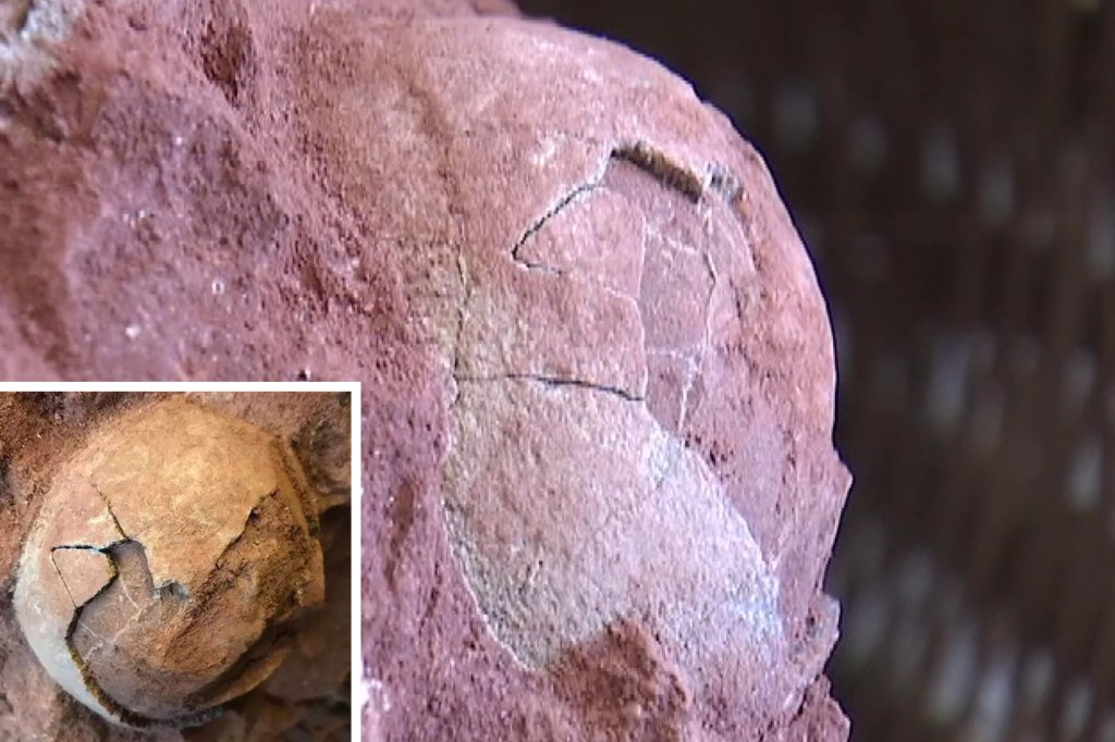 Fósseis de ovos de dinossauro encontrados na China