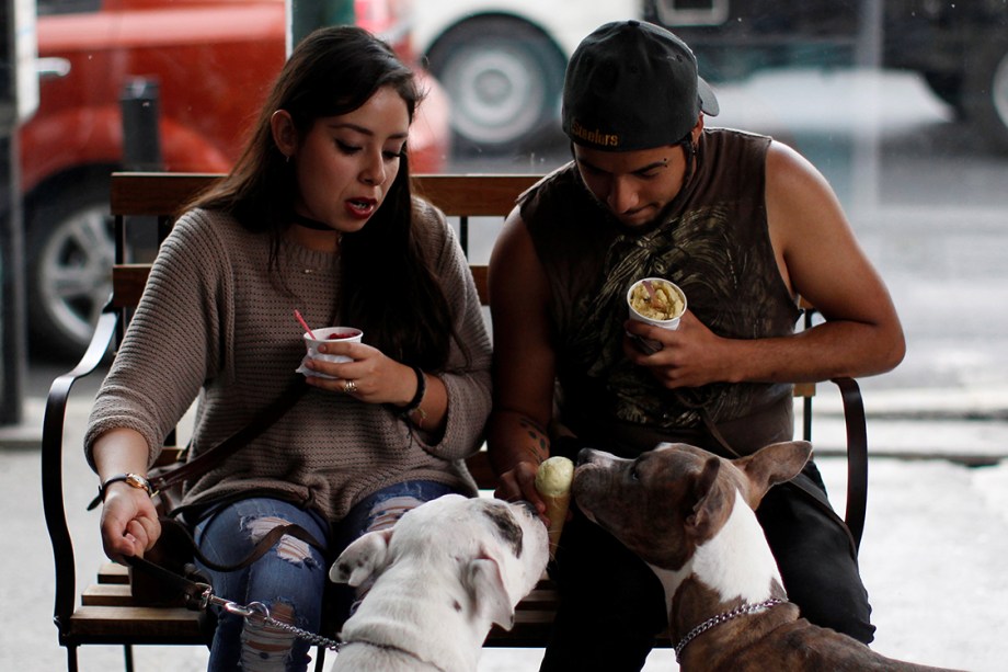 Casal oferece sorvete para cachorros em uma sorveteria especializada em caninos, na Cidade do México