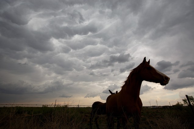 Nuvens mammatucumulus, frequentemente associadas a tempestades severas, se formam no céu, próximo a cidade de Clovis, Novo México