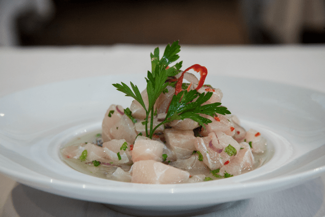 Entrada no jantar: ceviche de peixe branco ao leite de tigre