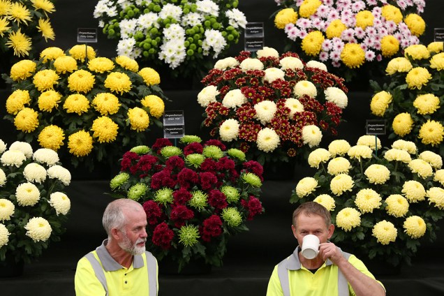 Jardineiros fazem pausa para chá durante organização do Chelsea Flower Show, em Londres