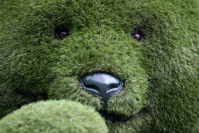 Ursinho feito com grama é disposto no festival Chelsea Flower Show, em Londres