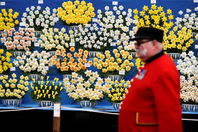 Guarda é fotografado entre os arranjos de flores dispostos no festival Chelsea Flower Show, em Londres