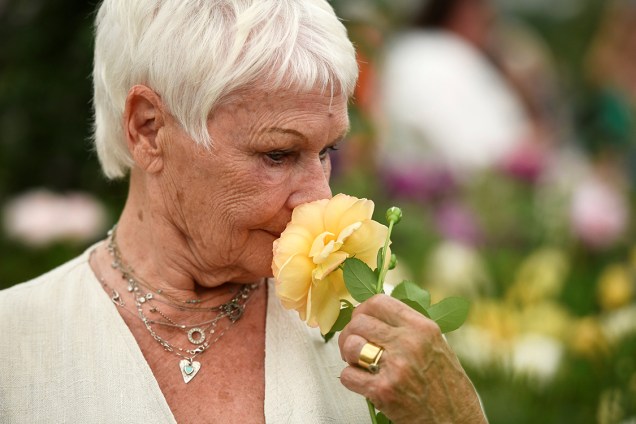 Atriz Judi Dench visita o festival Chelsea Flower Show, que acontece anualmente em Londres, Inglaterra