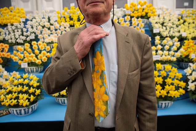 Homem vestindo uma gravata estampada com narcisos posa para foto em frente ao estande de narcisos no festival Chelsea Flower Show