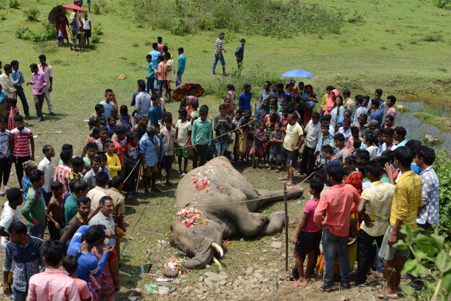 Aldeões indianos e trabalhadores florestais se reúnem em torno da carcaça de um elefante, após o animal ser atingido por um trem de passageiros, nos arredores da cidade de Siliguri, na Índia - 10/05/2017