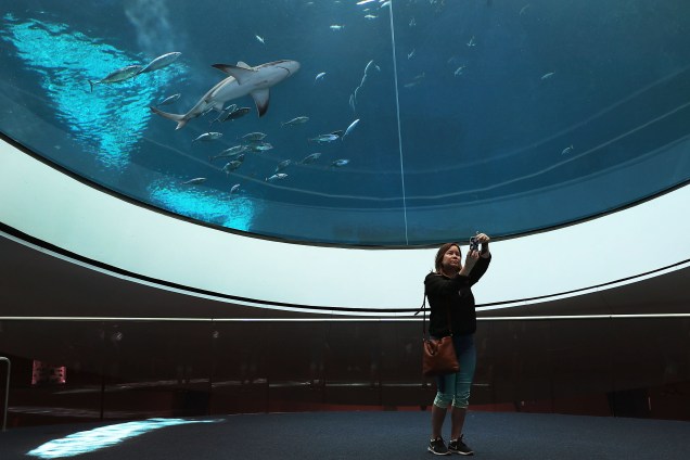 Visitante tira uma selfie em frente ao aquário do recém-inaugurado Museu de Ciência Phillip and Patricia Frost em Miami, na Flórida - 08/05/2017