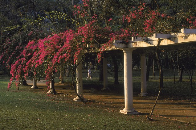 Caramanchão no Jardim Botânico do Rio de Janeiro.