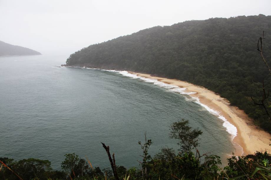Praia de Tabatinga, em Ubatuba, local onde a preguiça foi encontrada e resgatada por um kitesurfista.